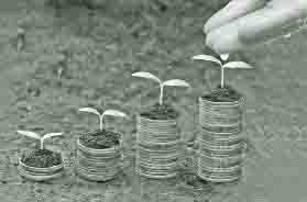 Jinsiy aloqa va asal video